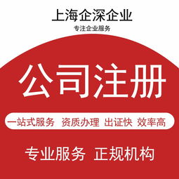 青浦區代理記賬服務 選擇專業財務公司助您高效經營