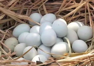 我縣新添3家市級菜籃子商品供應基地