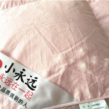 淮安市淮安區鑫豐羽絨制品廠