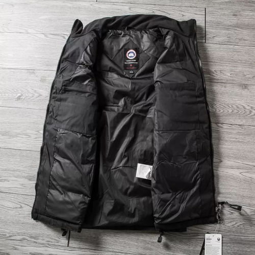 今年啥產品最火,兄弟們知道嗎 大鵝羽絨馬甲