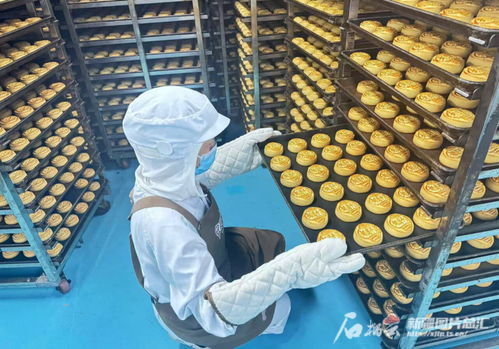 中秋佳節(jié)將至，烏魯木齊食品與羽絨制品企業(yè)雙線并進迎忙季